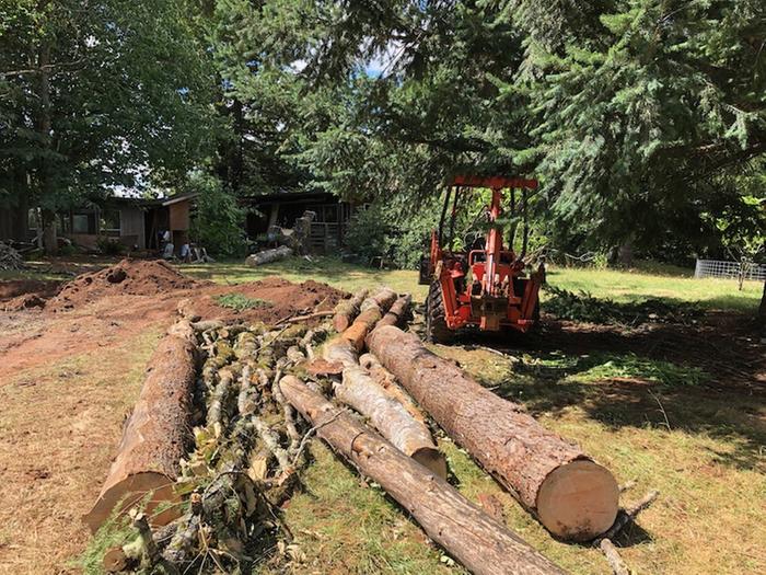 Setting up logs for hugelkultur berm