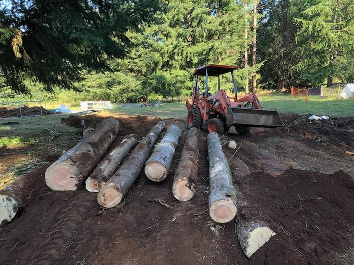 Second layer of logs on hugelkultur berm