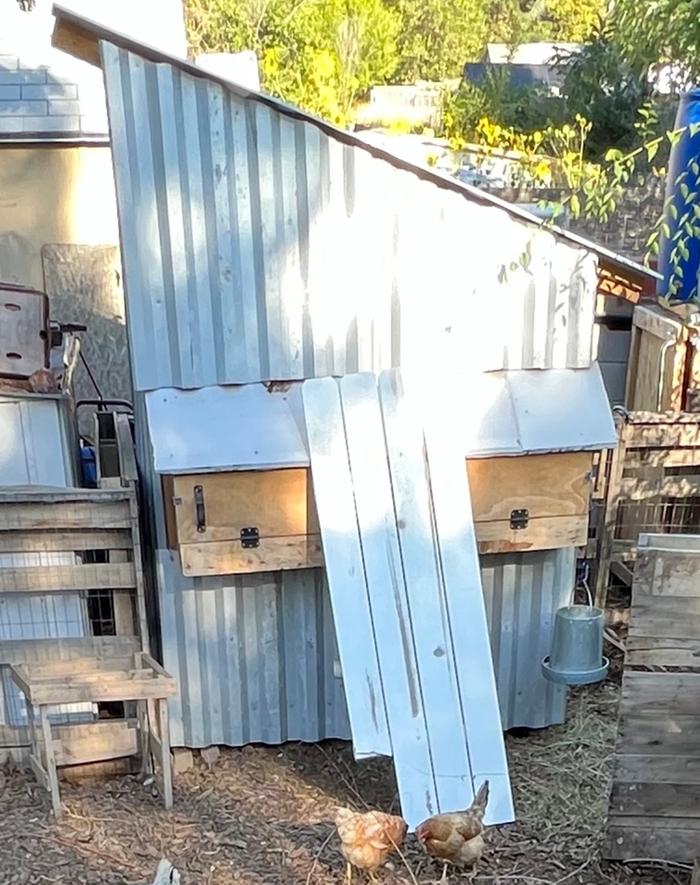 The coop in Original Form