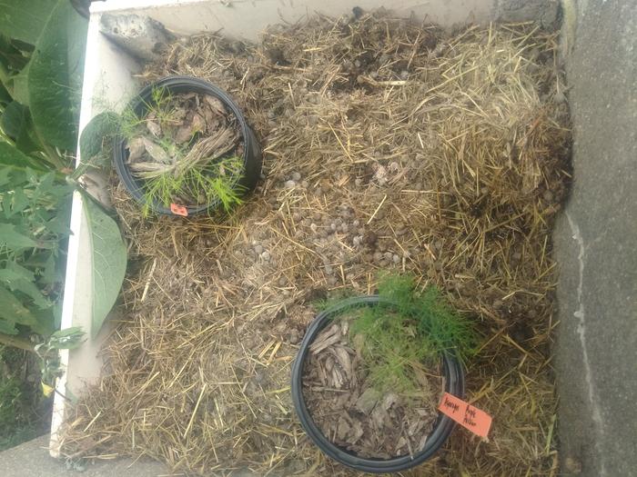 About a foot deep of rabbit bedding. 