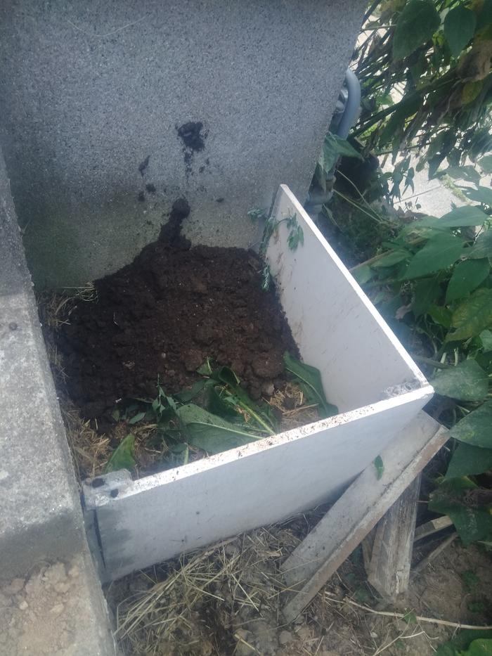 Sifted soil on top of that.