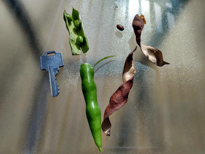 [Thumbnail for IMG_20200907_103006351_HDR.jpg]