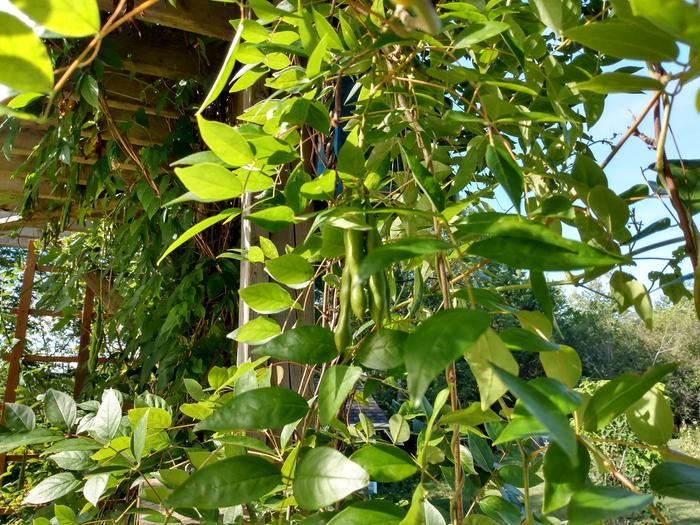 [Thumbnail for IMG_20200907_103044511_HDR.jpg]