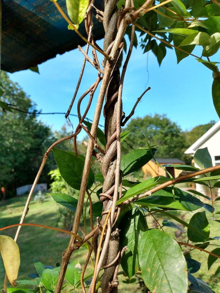 [Thumbnail for IMG_20200907_103112466_HDR.jpg]