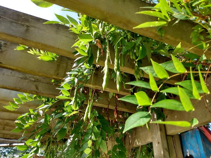 [Thumbnail for IMG_20200907_103132096_HDR.jpg]