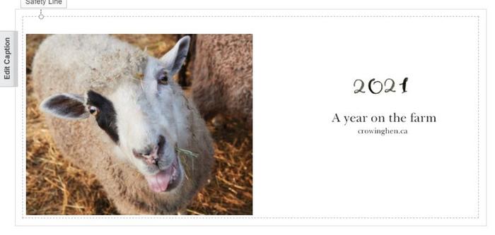 [Thumbnail for Capture.JPG]