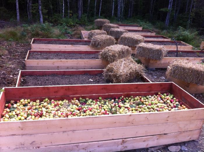 raised beds
