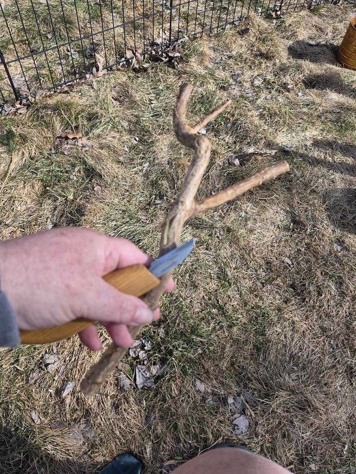 Bracket 2 starting wood