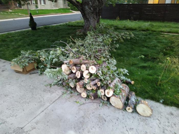 Logs and brush from the maple, I hope it's enough