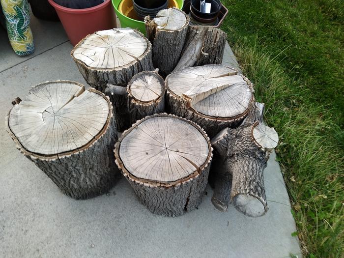 Some wood I got free earlier in the summer from about a mile away