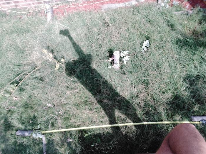 View from above