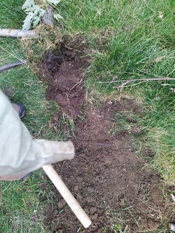 I expected a sprinkler line somewhere in here, I did not expect weedblock