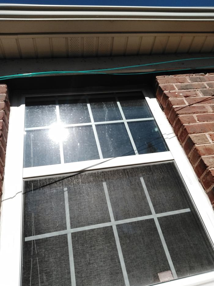 Sun shining on a south facing window