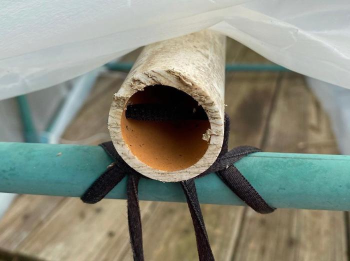 upcycled cold frame