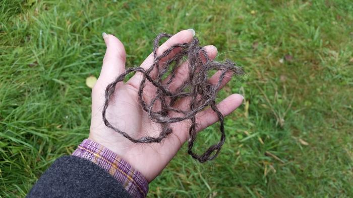 made into two-ply twine...probably about 5 feet long? From probably 5 hair-brush-fulls of hair, I think?