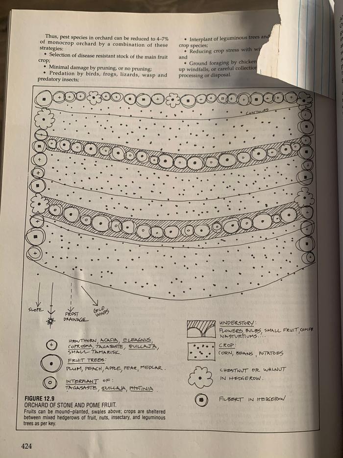 [Thumbnail for 89F48DB7-ACDA-44E9-88E2-848D8373757A.jpeg]