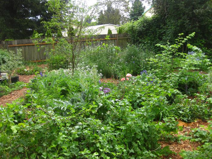 [Thumbnail for IMG_3116.JPG]