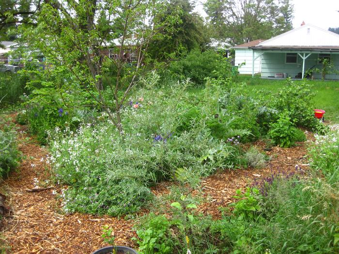 [Thumbnail for IMG_3103.JPG]