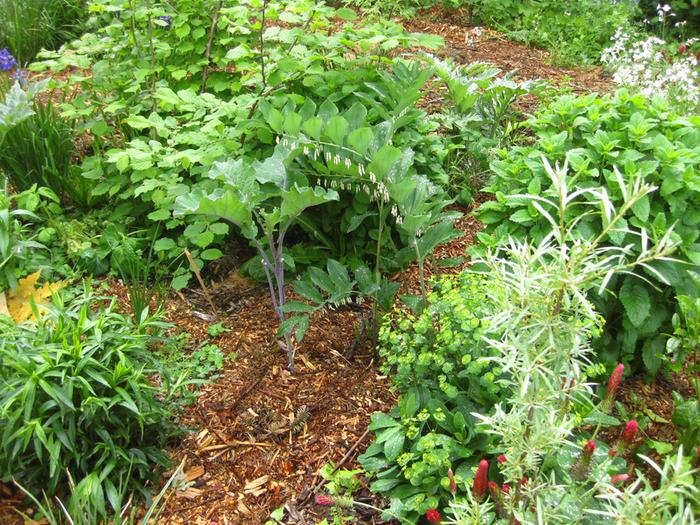 [Thumbnail for IMG_3090.JPG]