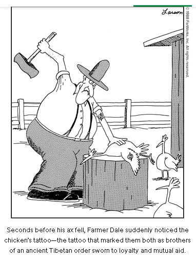 [Thumbnail for fs-check-your-chickens.jpg]