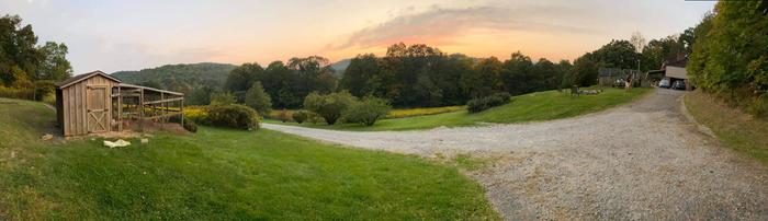 new homestead