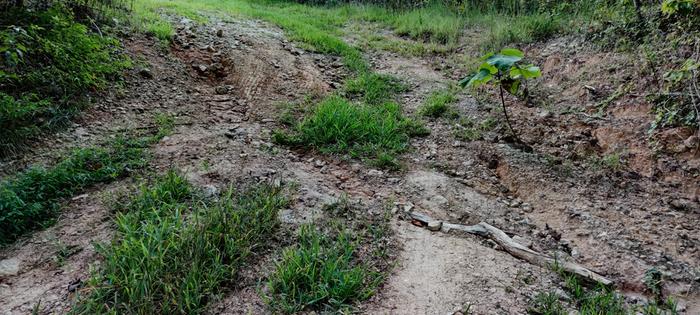 A washed out driveway