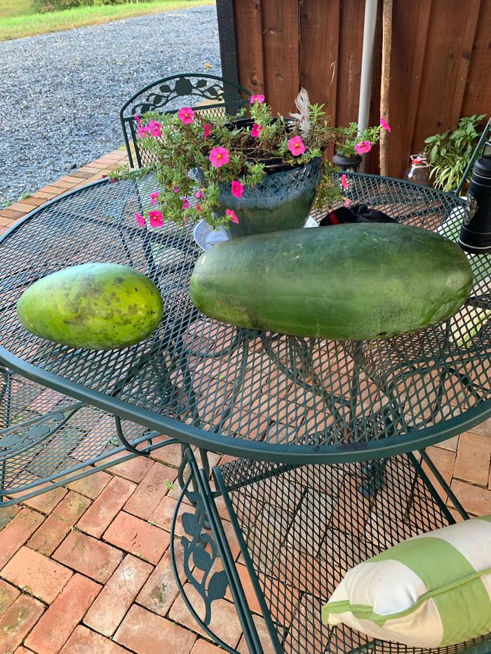Melons