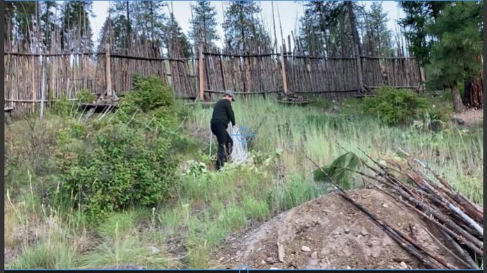 setting up fencing