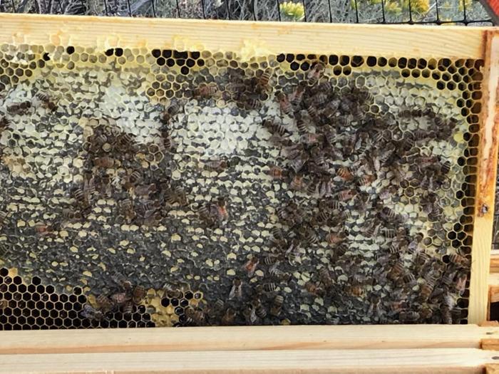 [Thumbnail for 27296.jpeg]