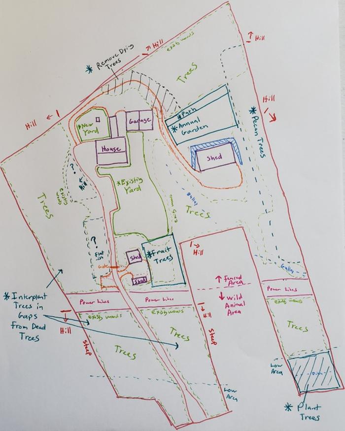 Initial Sketch of Homestead Plans