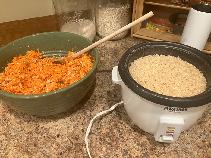 Little rice cooker full of fresh cooked rice