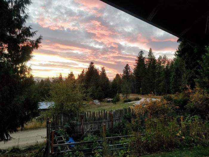 [Thumbnail for 20201003_192207.jpg]