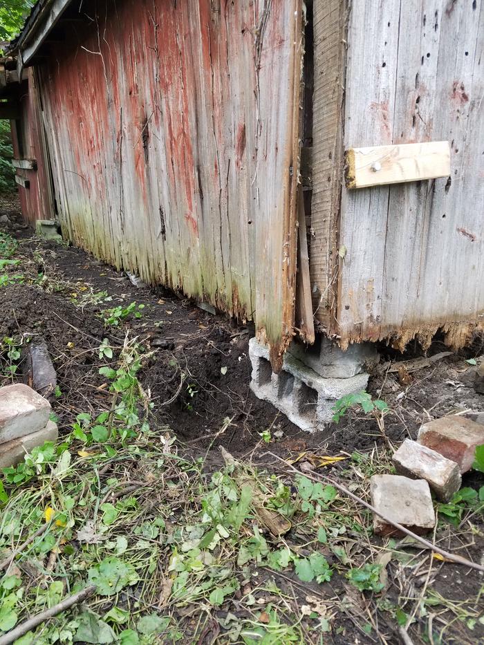 Coop, right end, more lifting (now up to 2 cinder blocks and some bricks!)