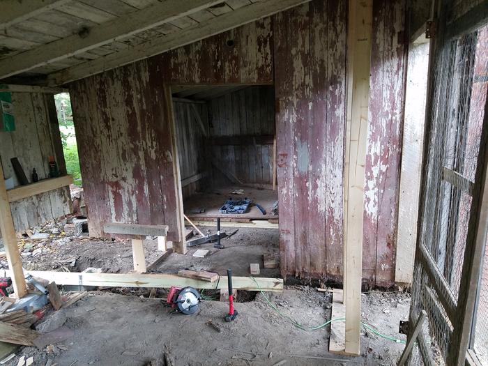 temporary supports by front door. Can also see the new sub-floor beam jammed under the old floor. A lucky perfect fit