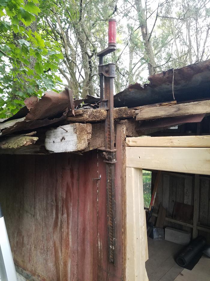 Rotten roof section was lifting away from the rafters, so I clamped them together and drove some drills through.