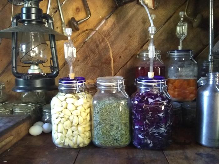 Fermenting veggies and dried oregano