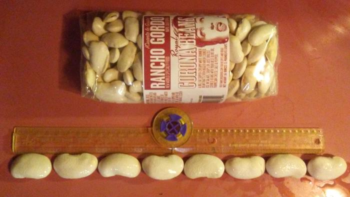 Royal Corona runner beans from Rancho Gordo
