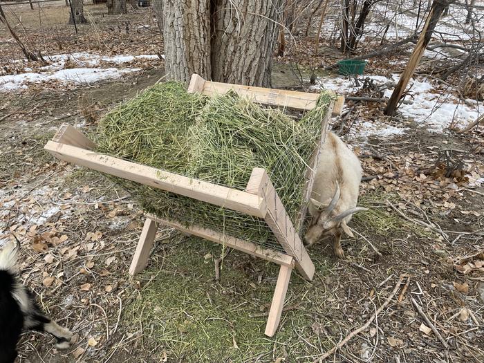 homemade Y feeder for less waste