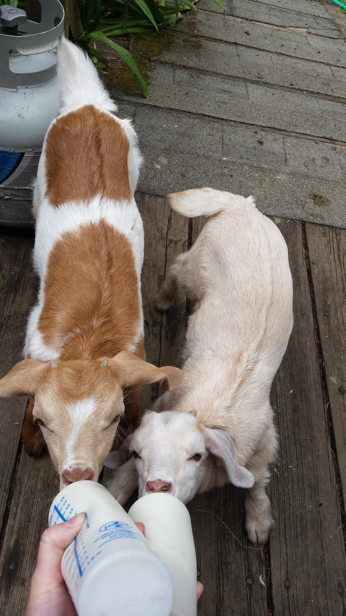 Sabrina as a baby (left)