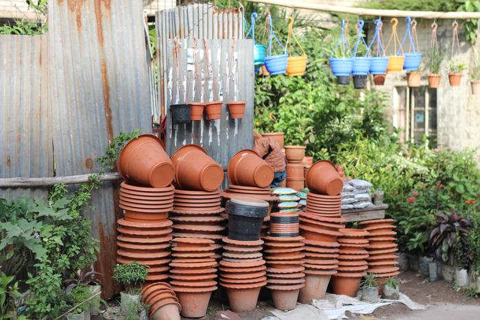 container gardening