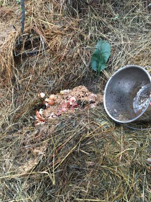 empty pail next to RS compost pile