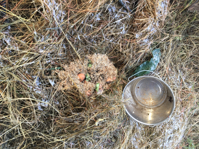 empty pail next to RS compost pile