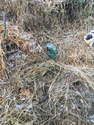 straw replaced to close compost pile