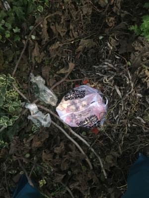 dumping bag #3