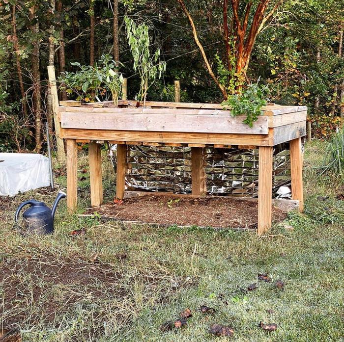 raised bed