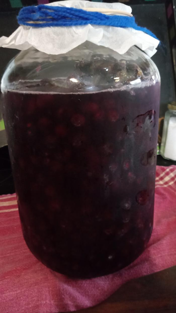 Blueberry Kvass, during ferment