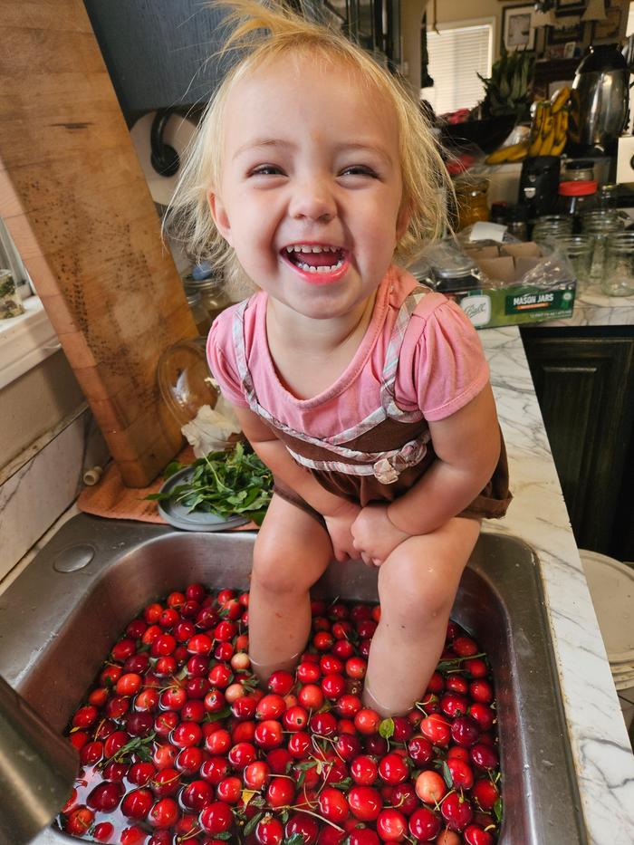 Washing crab apples.... I have an anti-helper :)