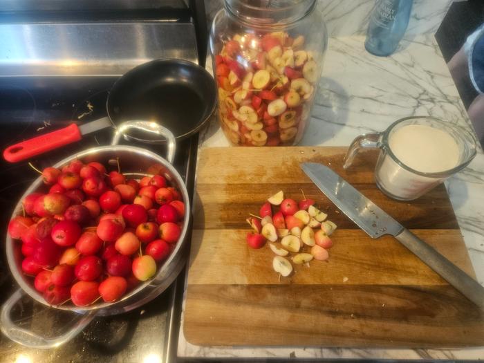 chopping crab apples for the vinegar