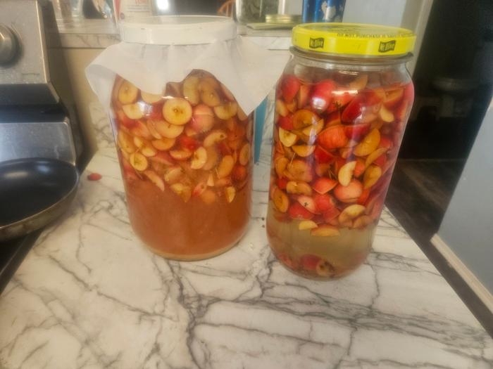 apples, sugar, and water into the glass vessels