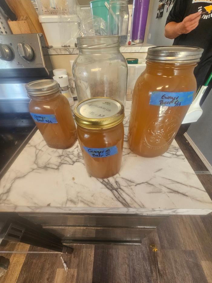 finished, labeled ginger beer bottles, one half gallon bottle and two quarts